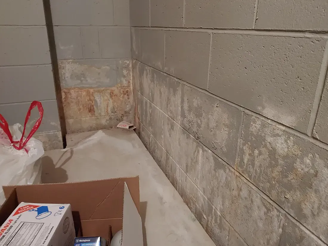 Mold inspection Bridgewater NJ