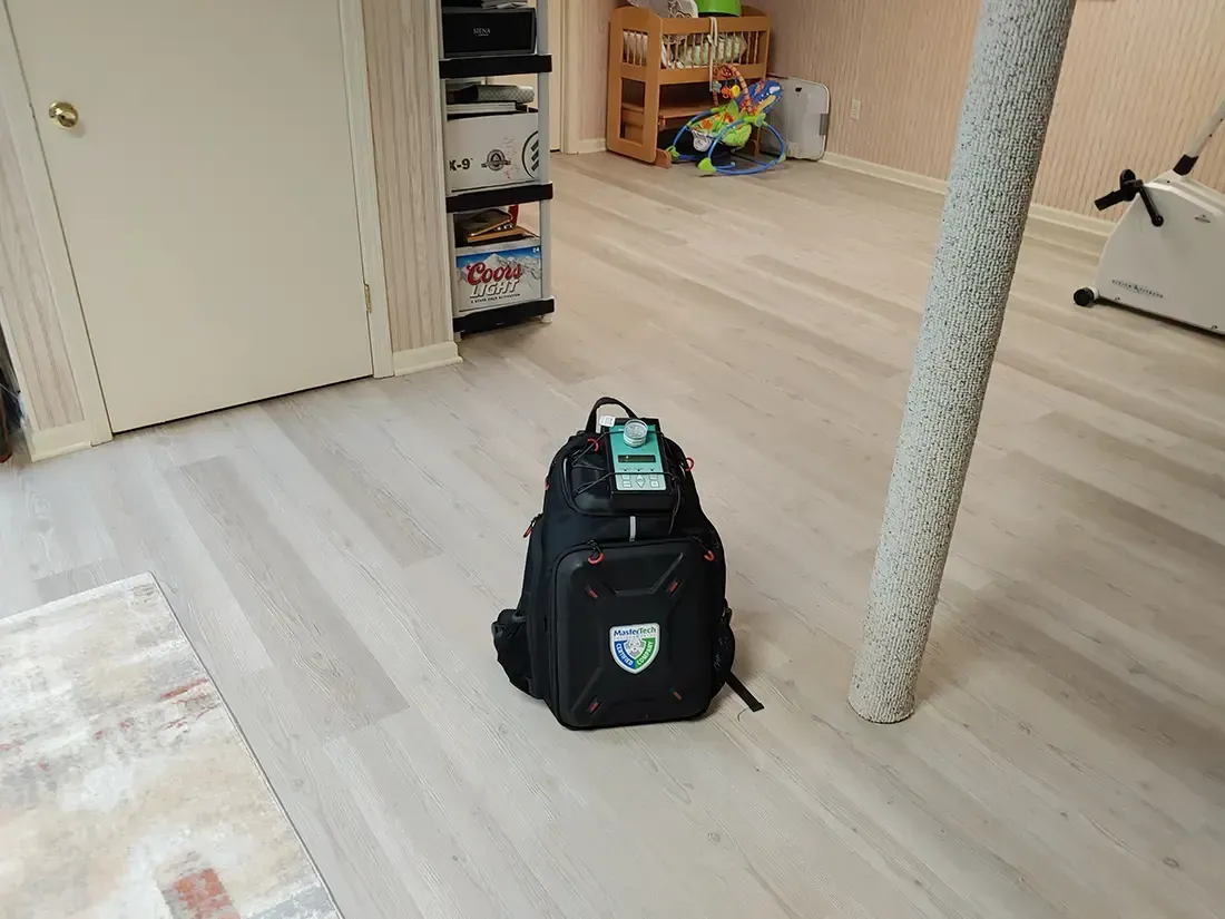 Mold inspection