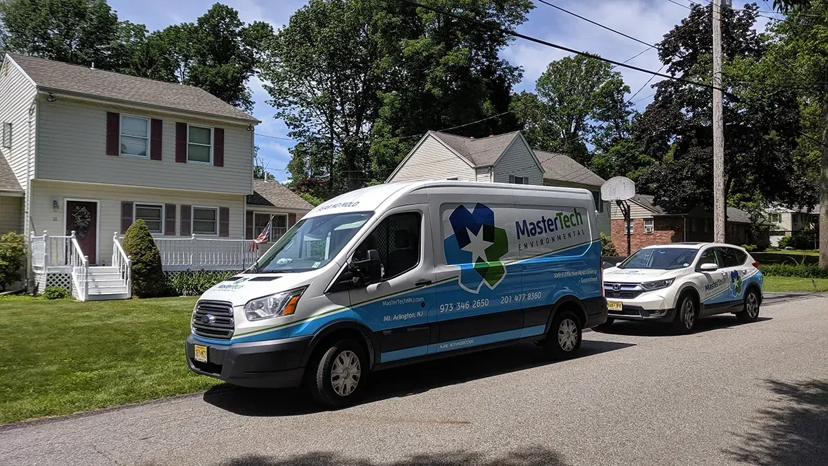 Mold inspection in Morristown NJ