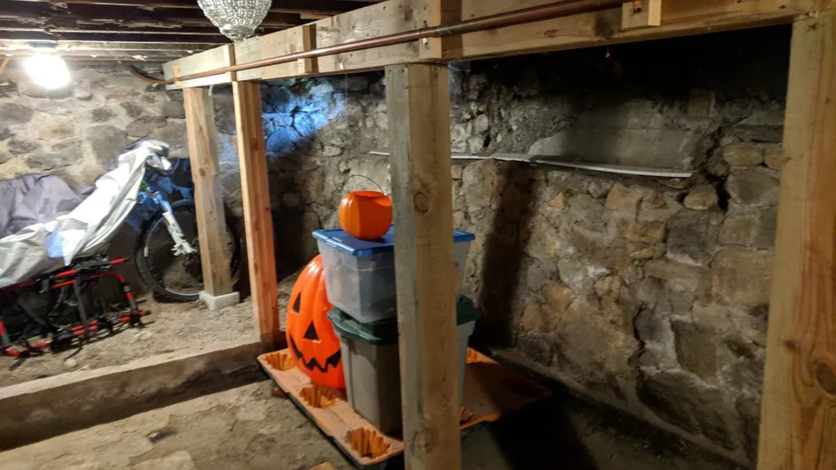 Mold inspection Morris County