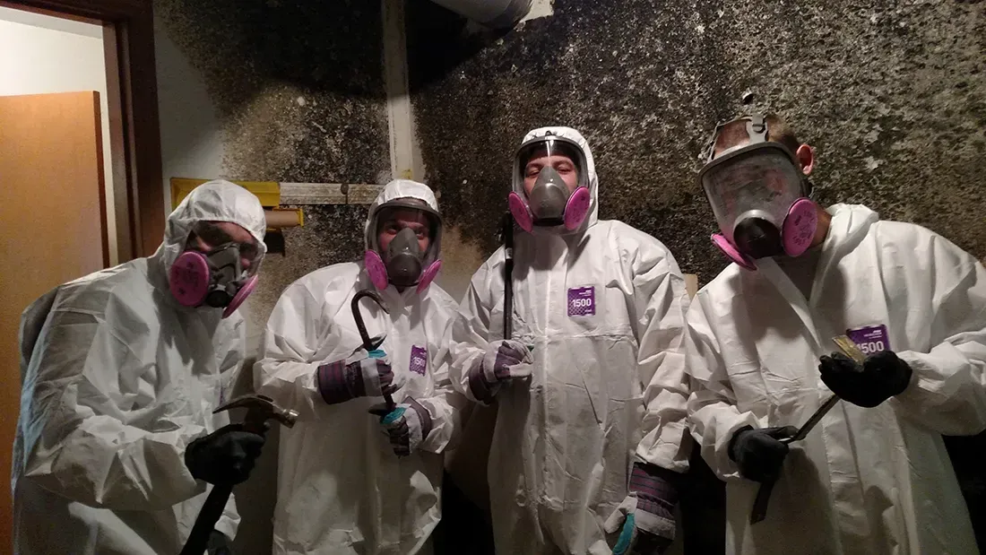 Mold Inspection Morris County NJ