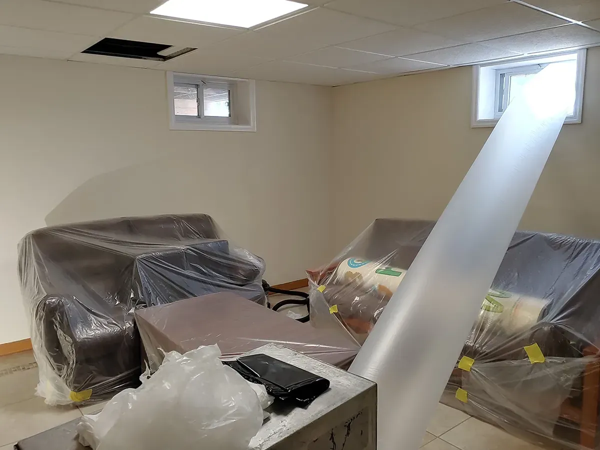 Mold inspection Morris County NJ