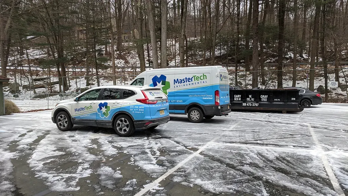 Mold inspection Morristown NJ