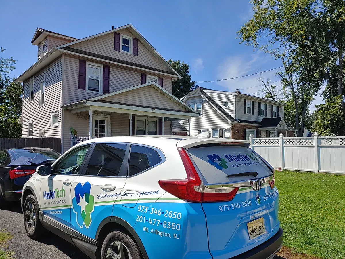 Mold inspection Morristown NJ