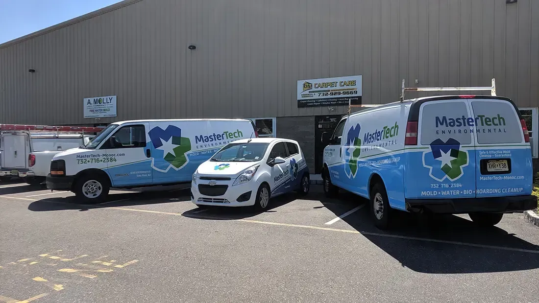Mold remediation