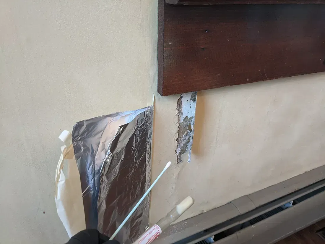 Mold remediation Bridgewater