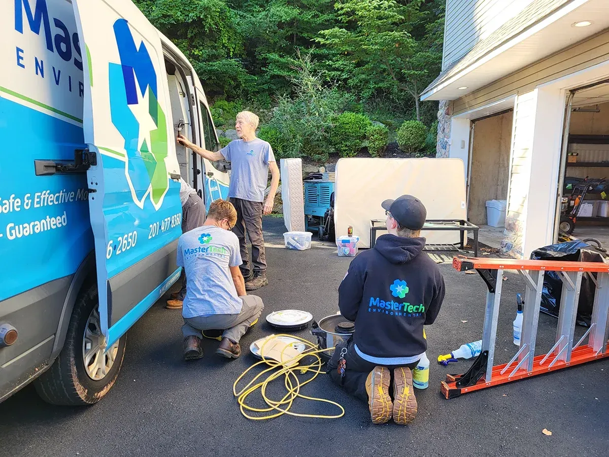 Mold remediation Bridgewater