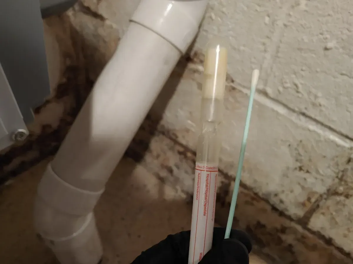 Mold remediation Bridgewater NJ