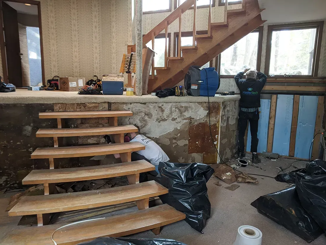 Mold Remediation Bridgewater NJ