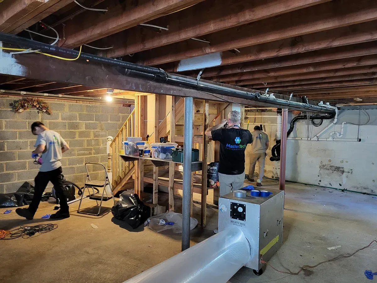 Mold remediation Bridgewater NJ