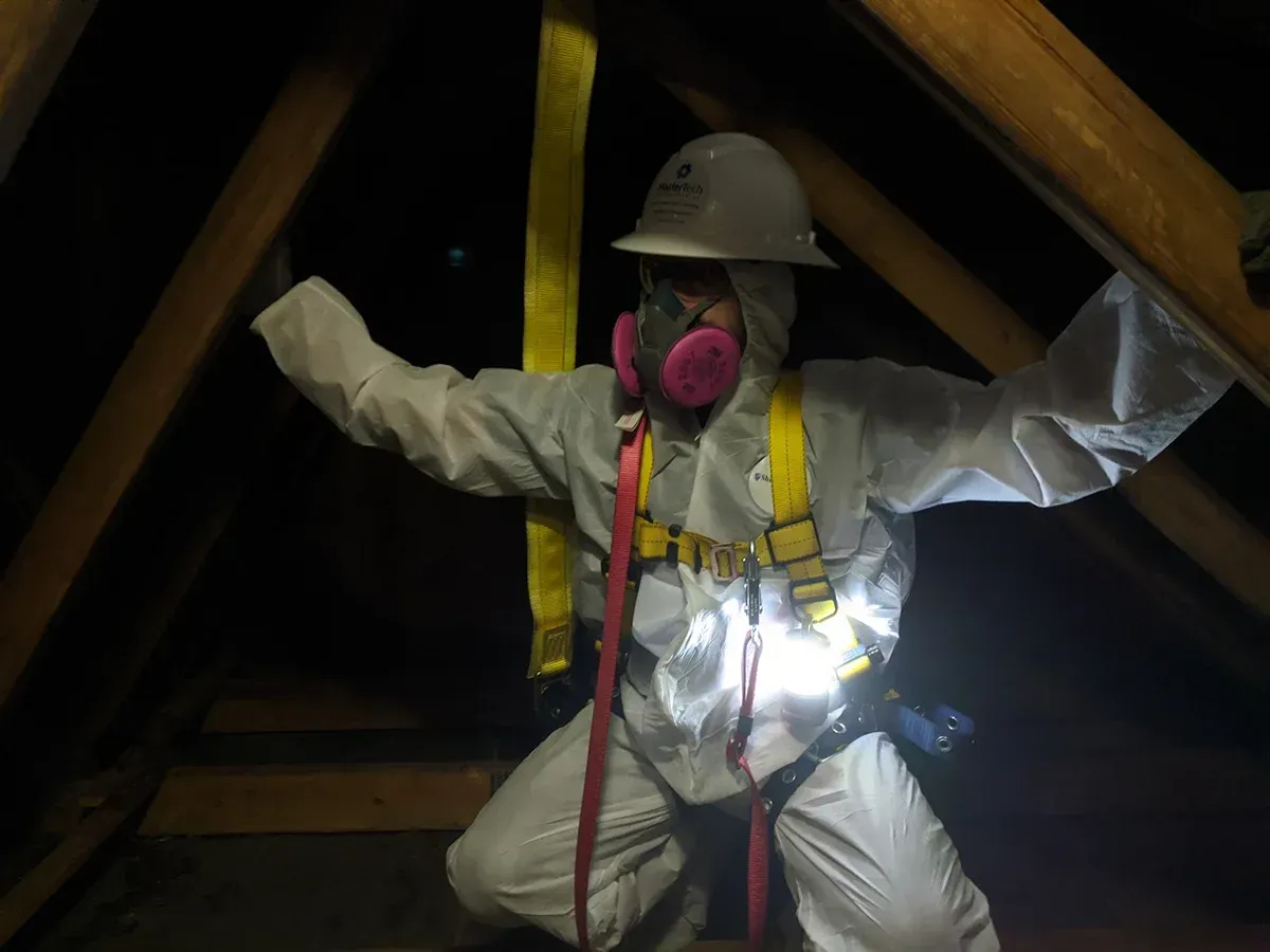 Mold remediation