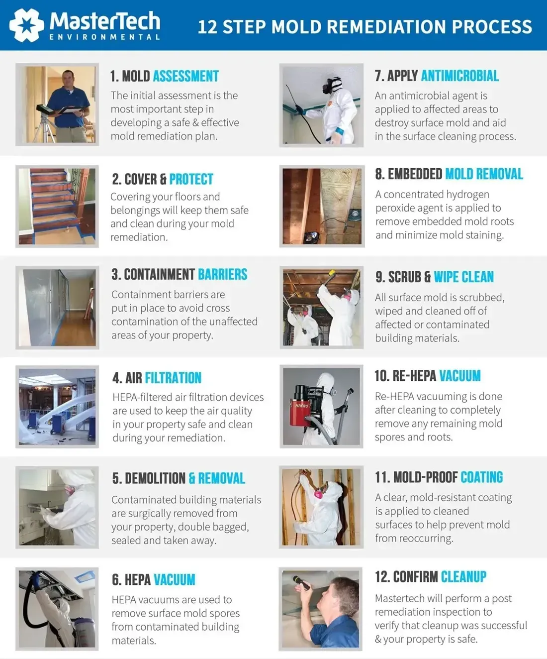 Mold Remediation in Bridgewater NJ