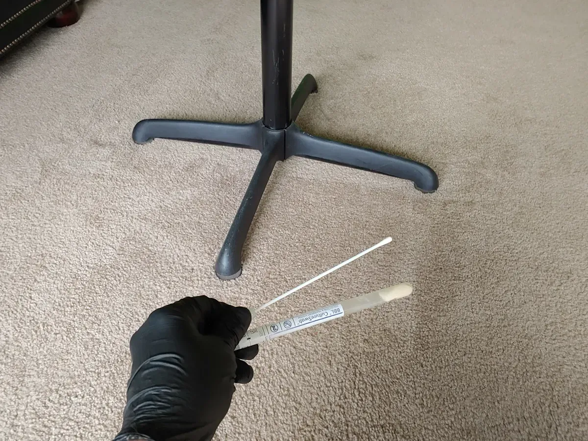 Mold remediation in Bridgewater NJ