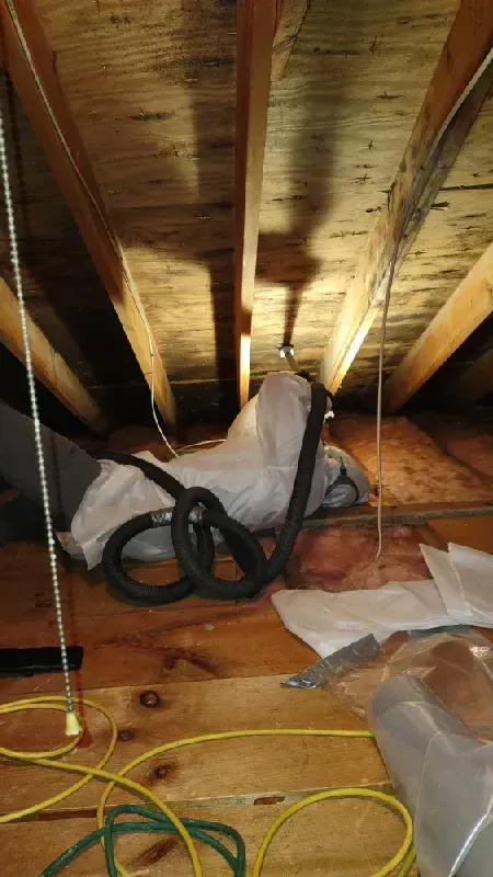 Mold remediation in Morris County NJ