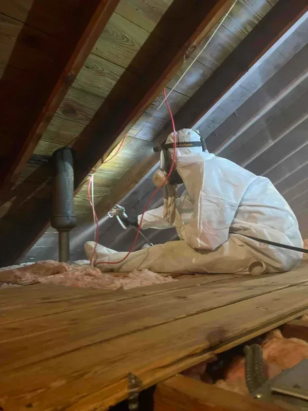 Mold remediation Morris County