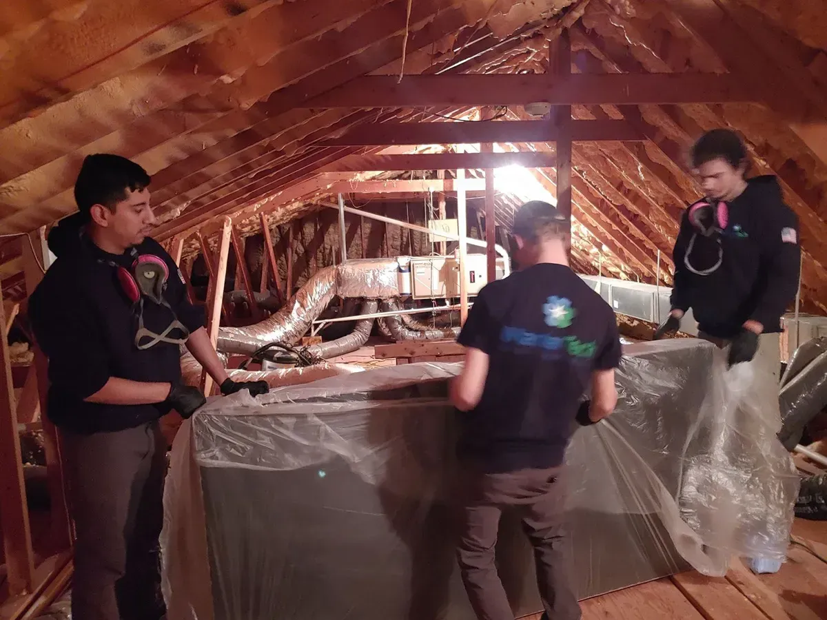 Mold Remediation Morris County