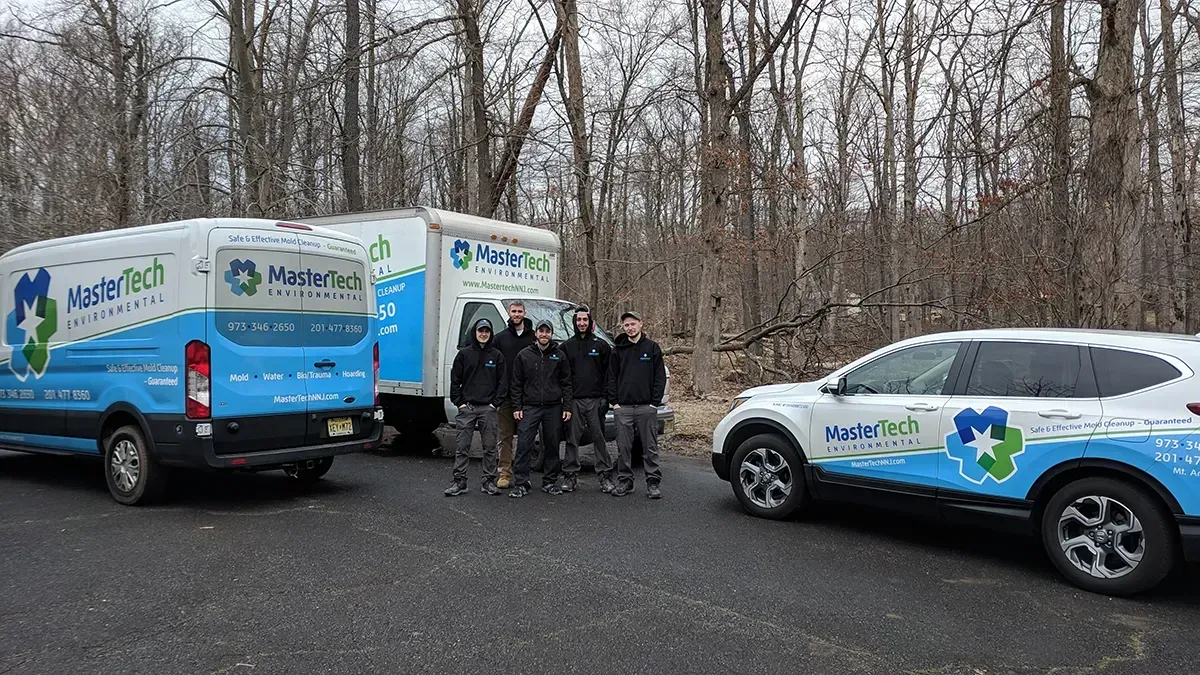 Mold remediation Morris County NJ