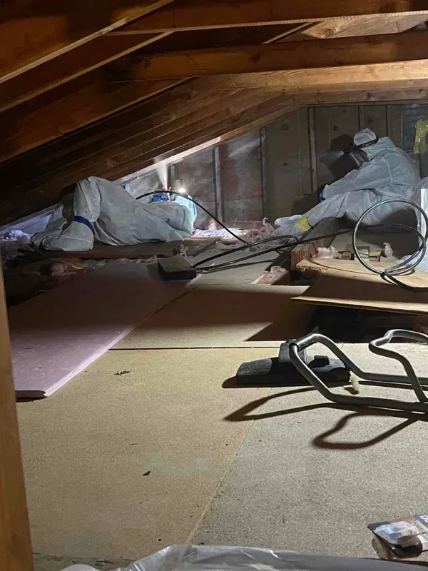 Mold remediation Morris County NJ