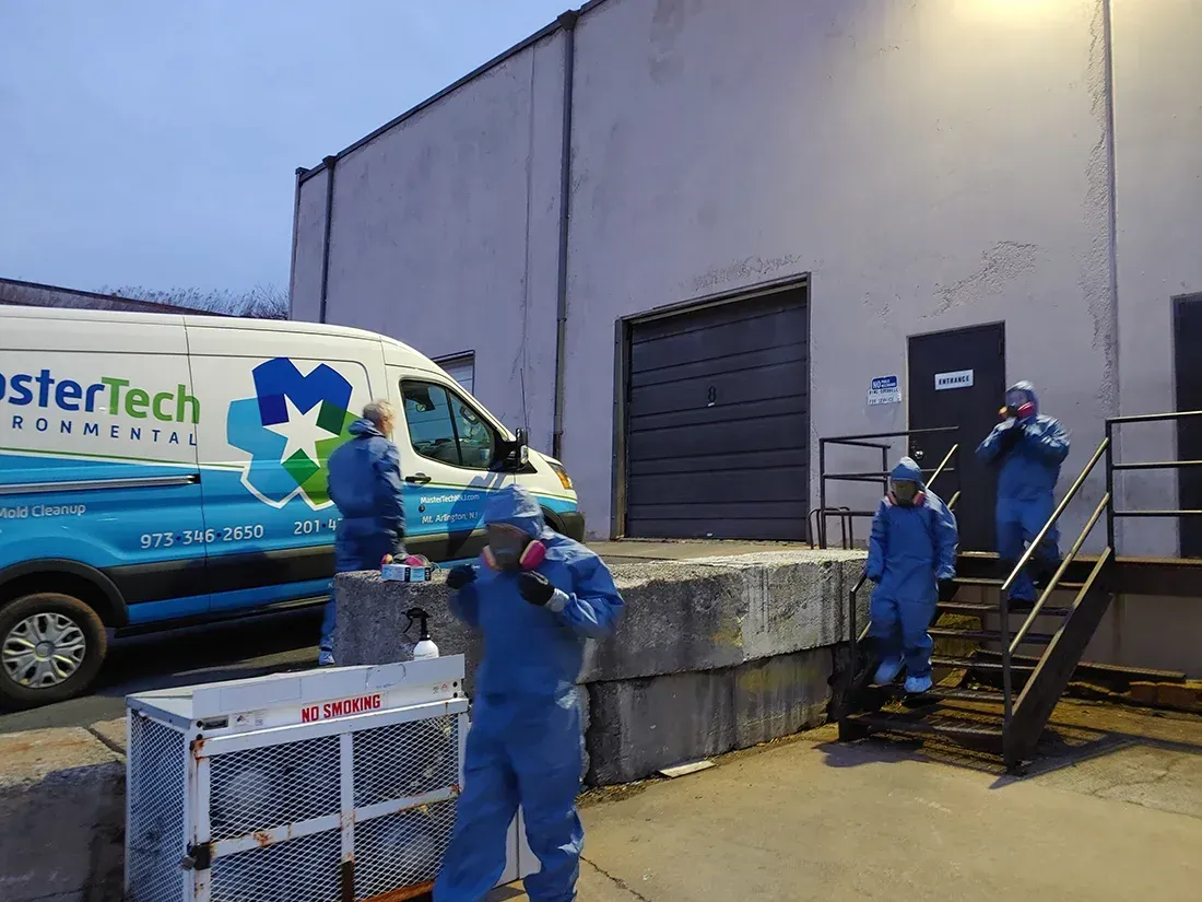 Mold Remediation Morris County NJ