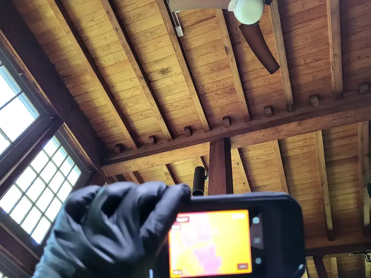 mold remediation Morristown