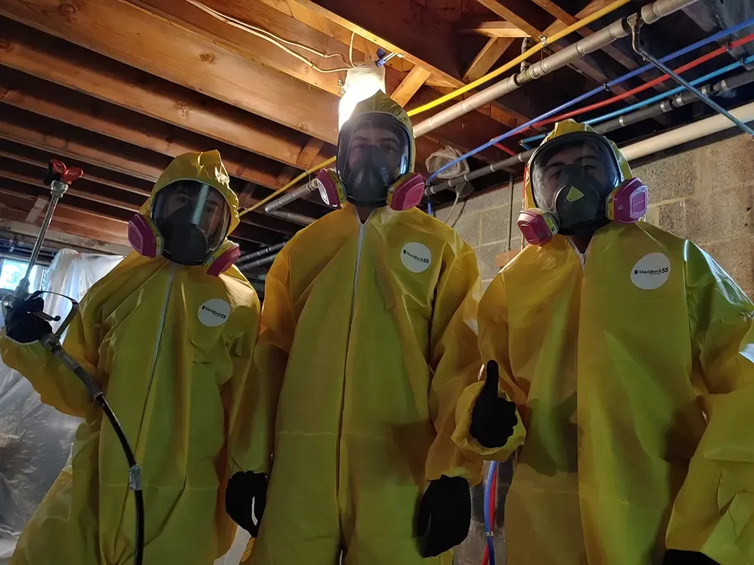 Mold remediation Morristown
