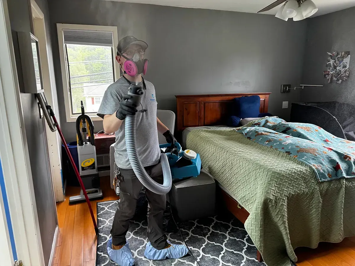 Mold remediation Morristown