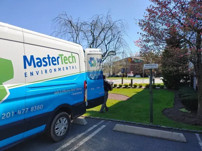 Mold Remediation Morristown NJ