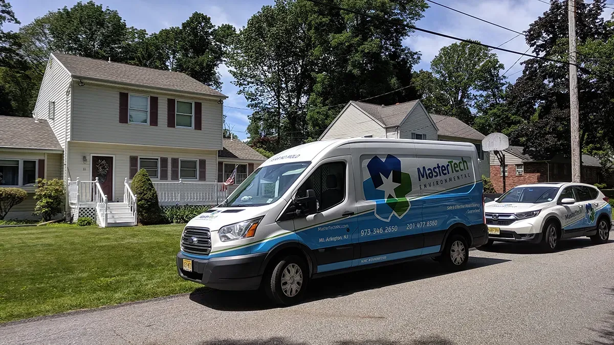 Mold remediation Morristown NJ 2