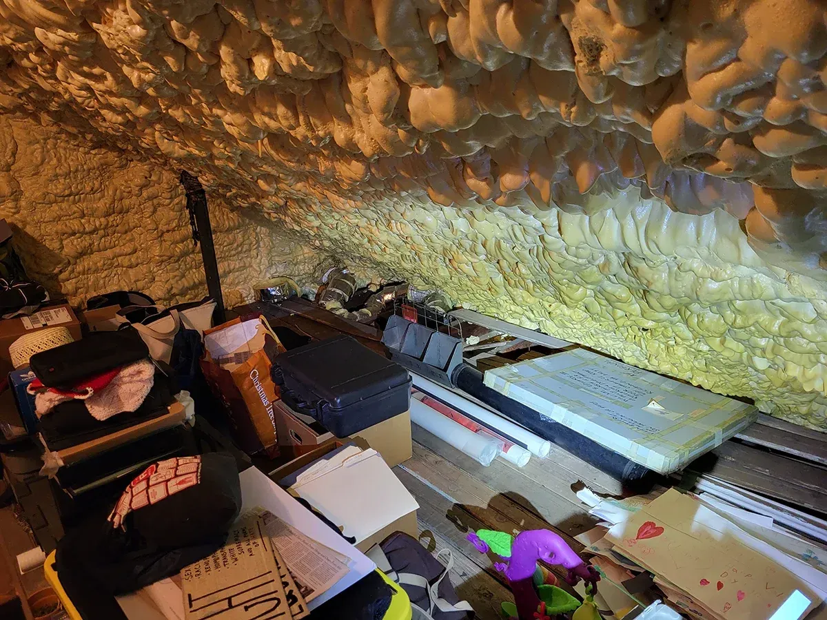 Mold remediation Morristown NJ