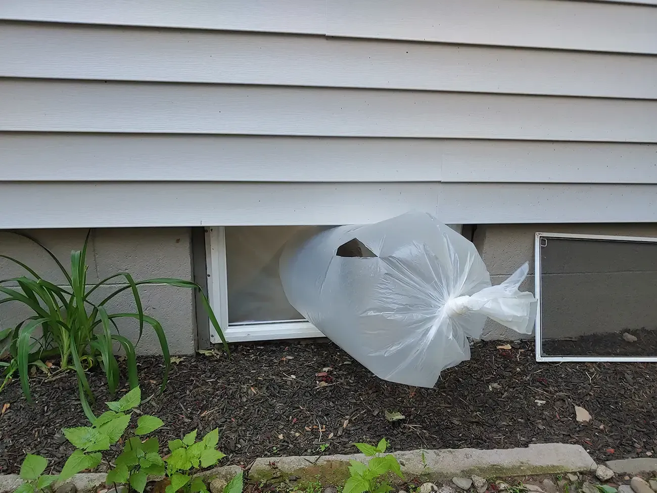 Mold remediation Morristown NJ 3
