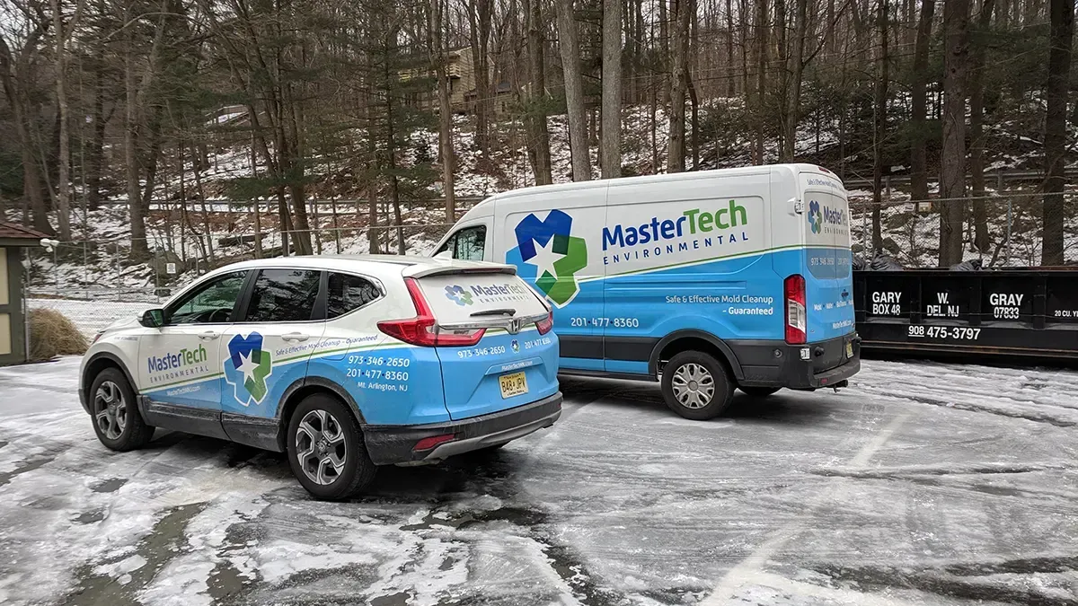 Mold remediation Morristown NJ