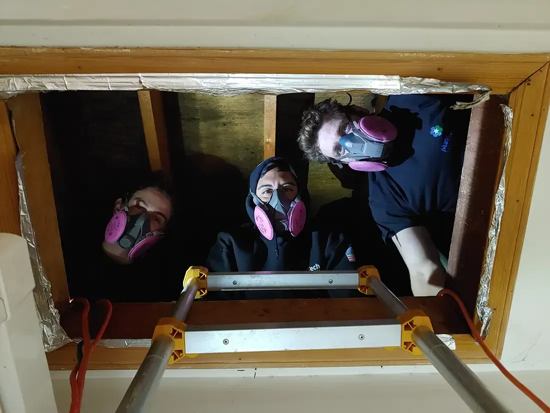 Mold remediation Morristown NJ