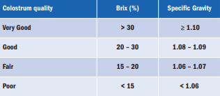 KRUUSE Colostrum Refractometer
