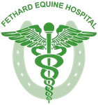 Fethard Equine Hospital