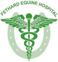 Fethard Equine Hospital