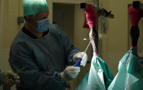 Fethard Equine Hospital equine surgery, ALD, Ger Kelly 