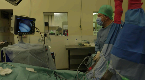 Fethard equine hospital, FEH, Surgery, equine surgery, Ger Kelly. Equine.
