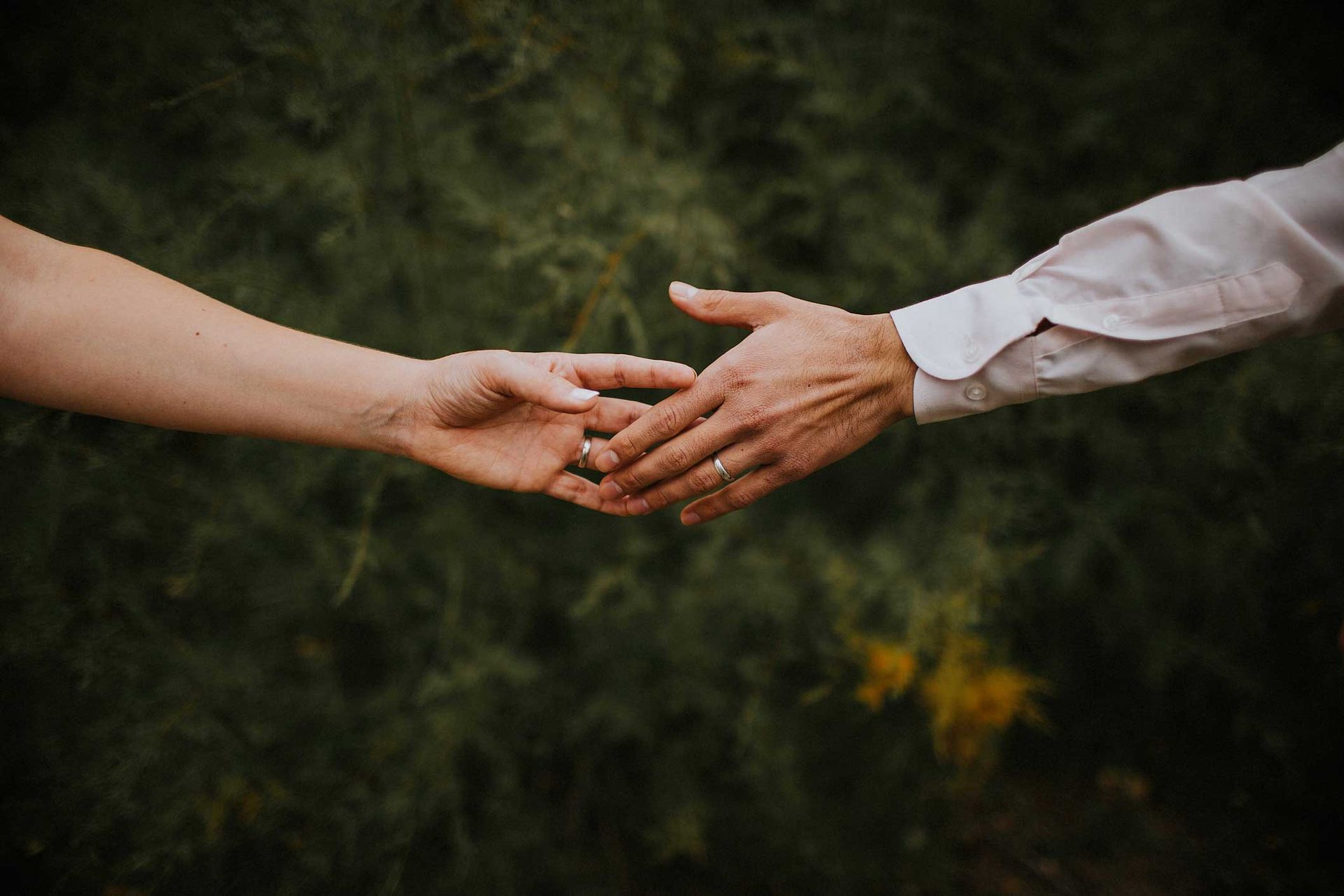 A bride and groom are holding hands with their wedding rings on.
