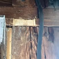 Wooden structure with a black wire running along it. Deteriorated wood with visible grain.