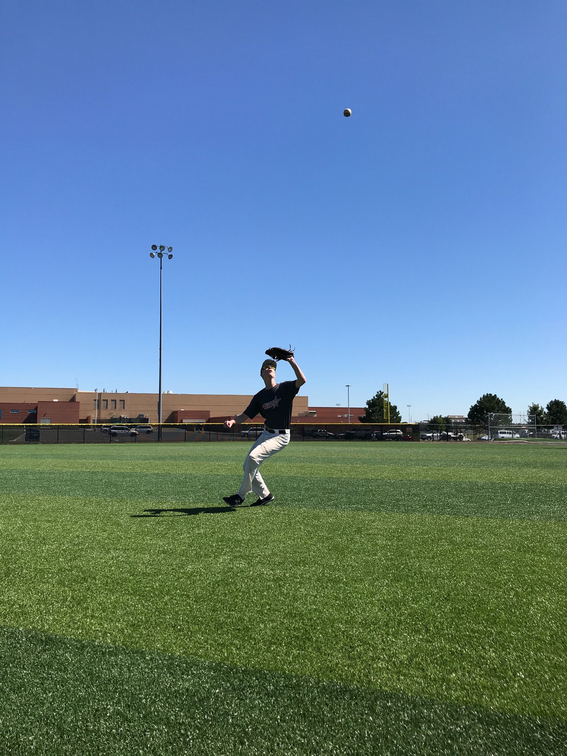Softball player in black and white catches a ball on a sunny green field.