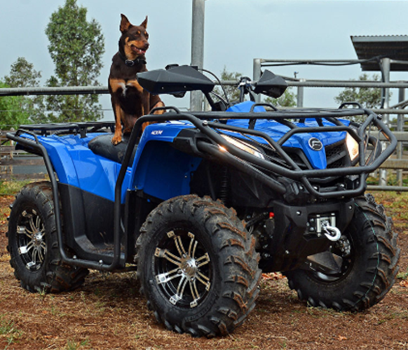 Dog Sitting On A CFMOTO — North Coast Construction Equipment In Coffs Harbour, NSW