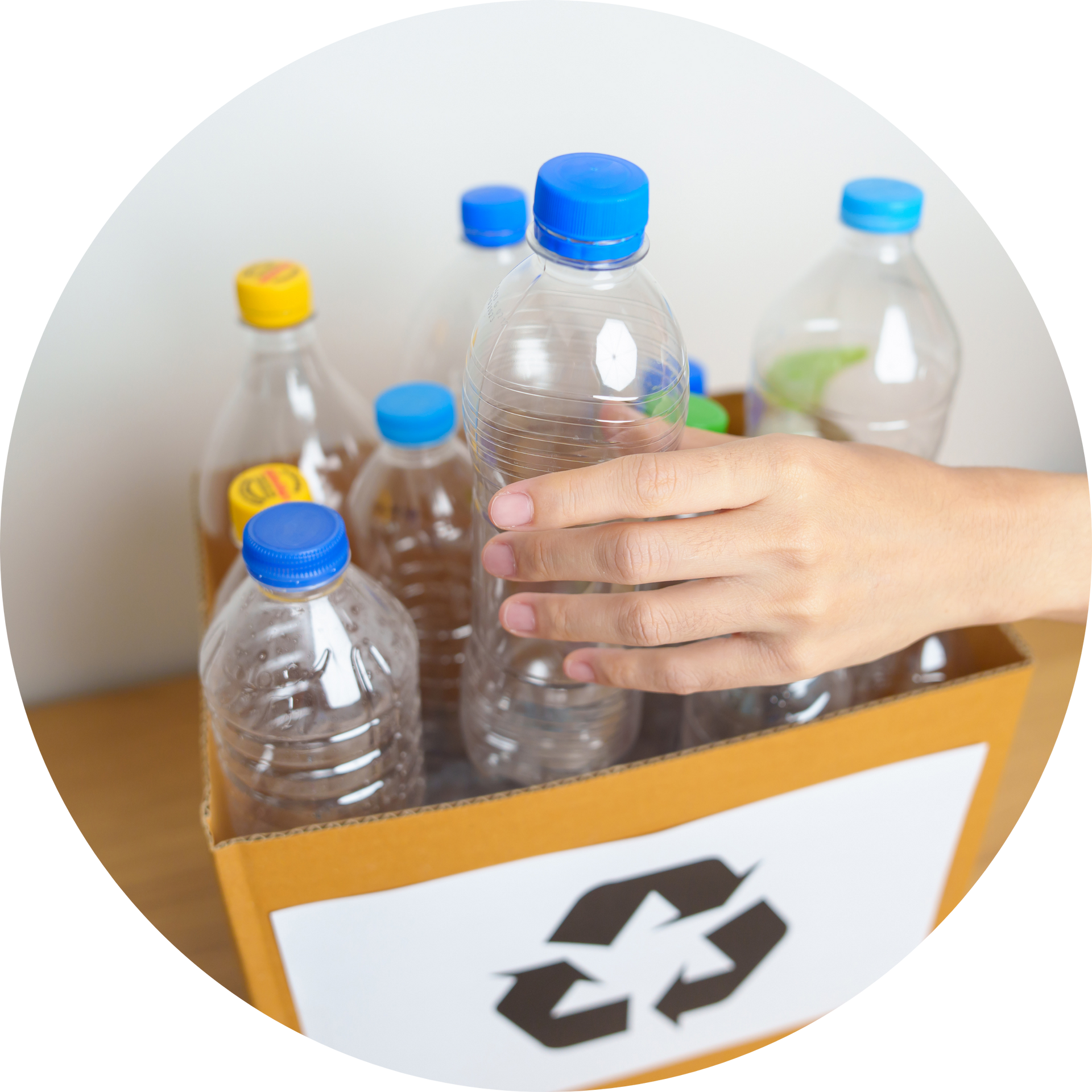 A person is holding a plastic bottle in a recycling box.