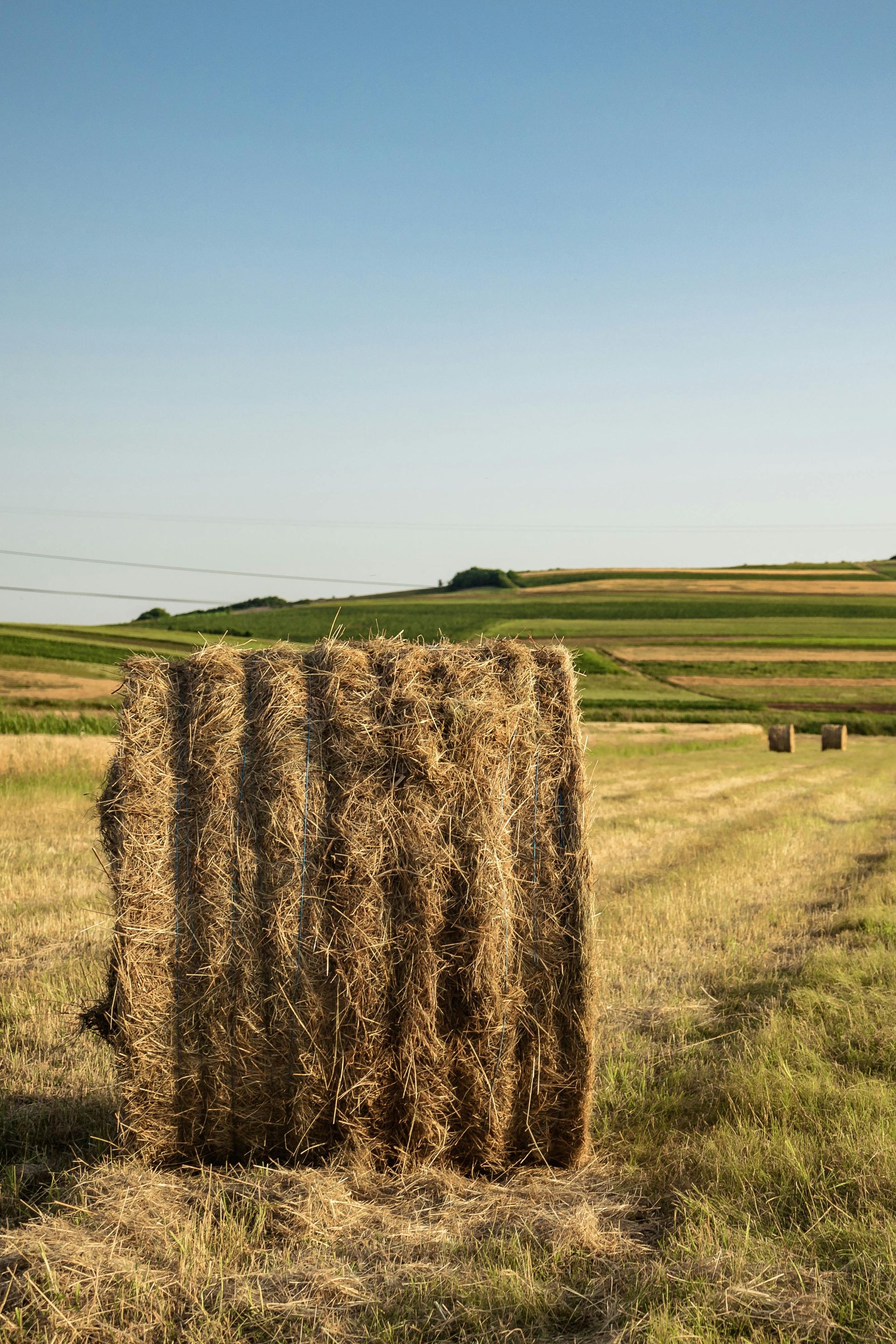 A bale of hay is sitting in the middle of a field.