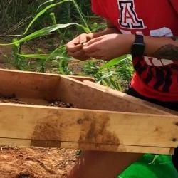 A person in a red shirt is standing next to a wooden box.