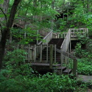 A wooden bridge in the middle of a forest with stairs leading up to it.