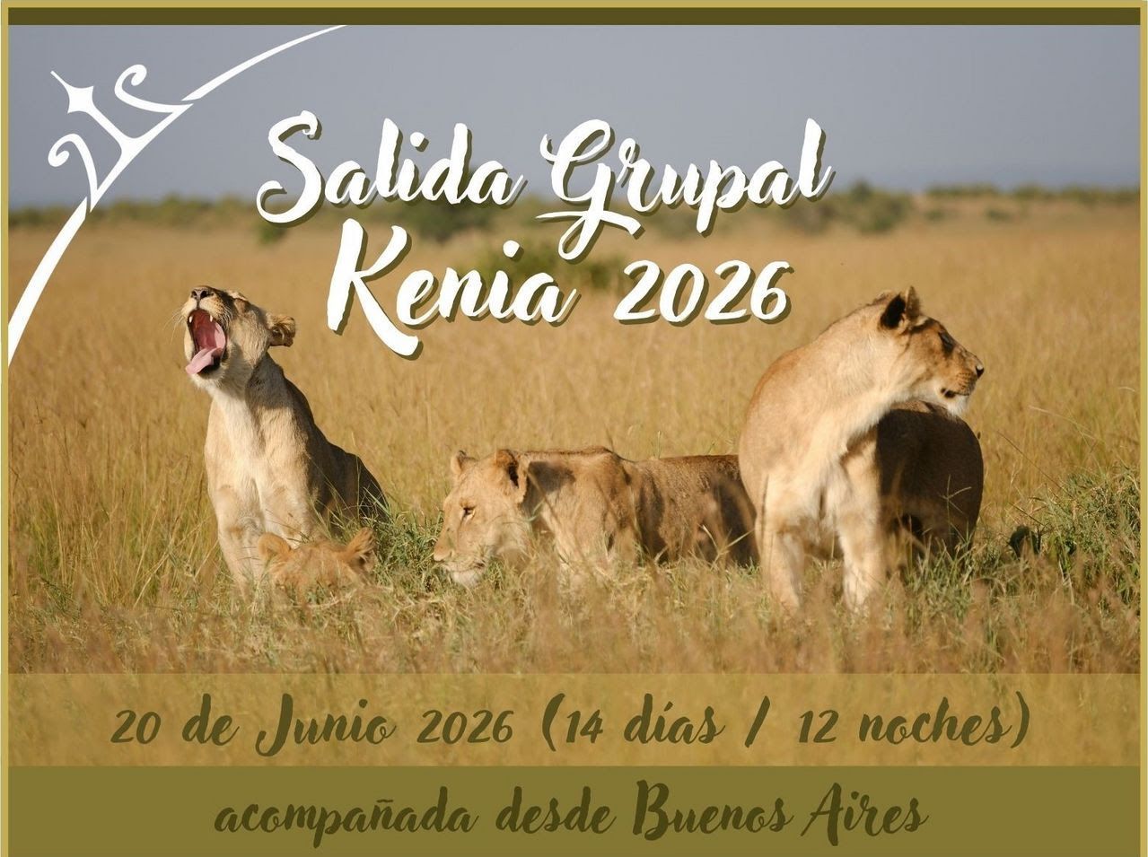 Leones en la sabana con el texto: “Salida Grupal Kenia 2026” y fechas para un viaje de agencia a Buenos Aires.