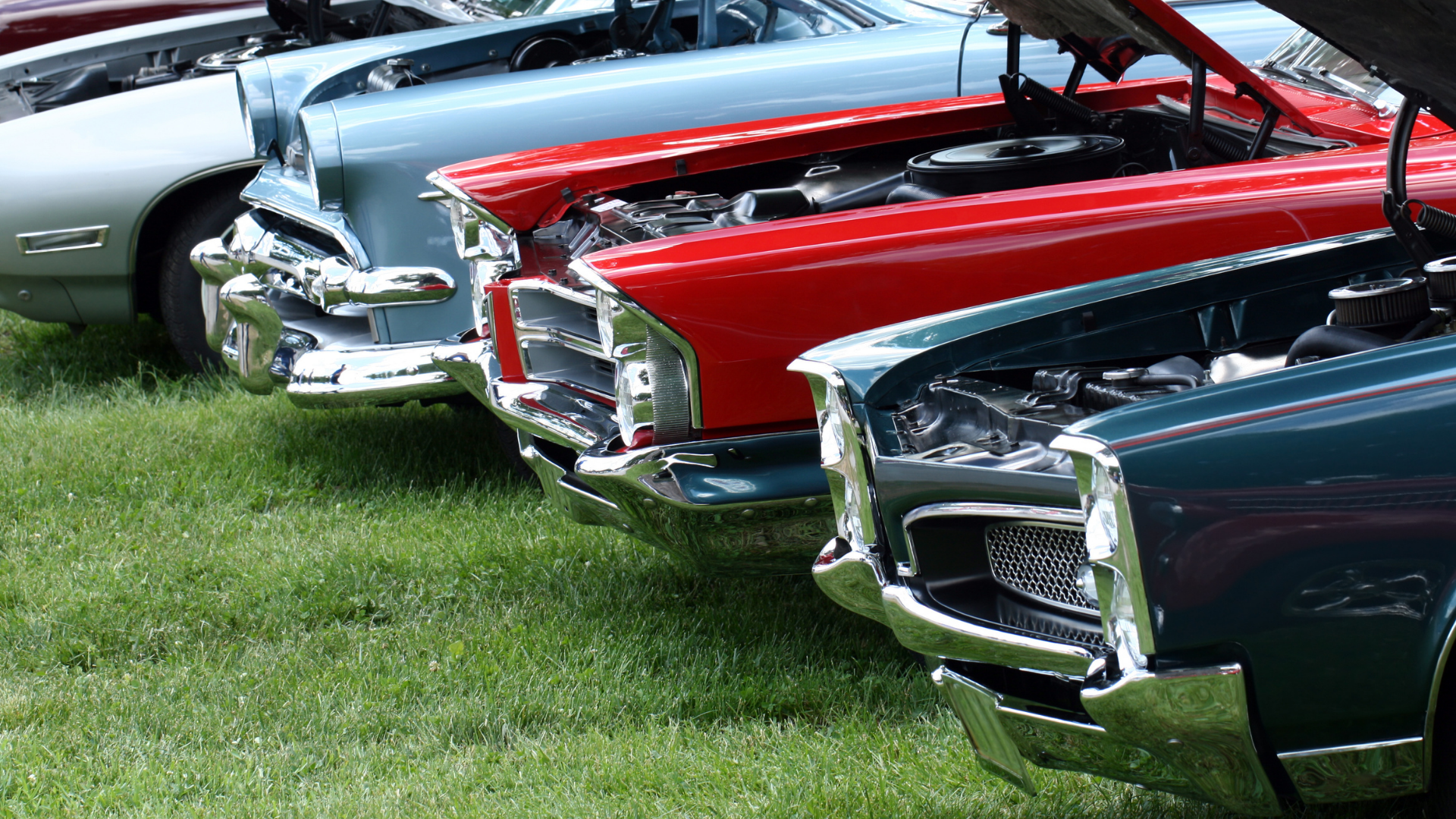 Classic cars with open hoods, lined up on grass, various colors.