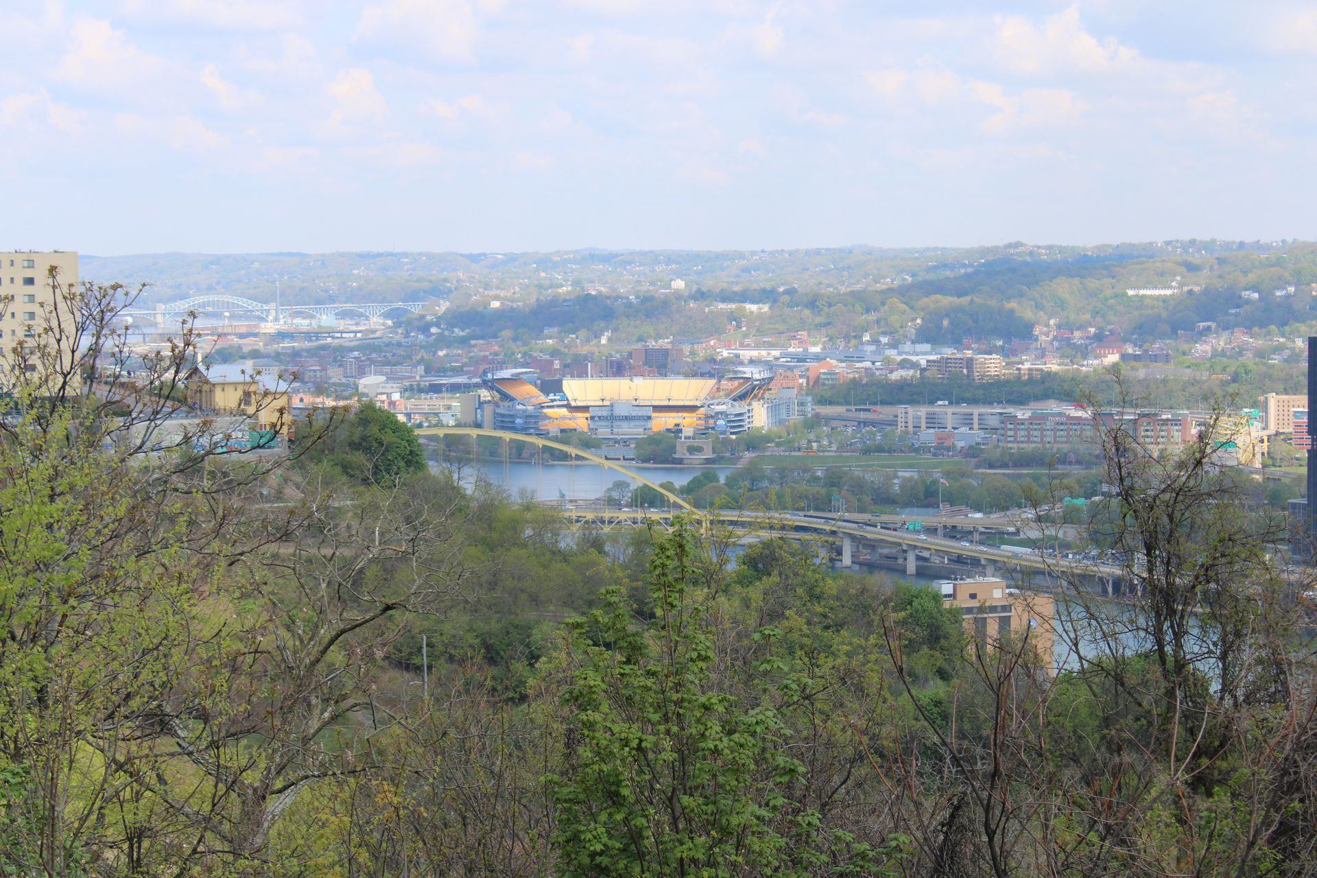 A view of a city from a hill with trees in the foreground and a river in the background.
