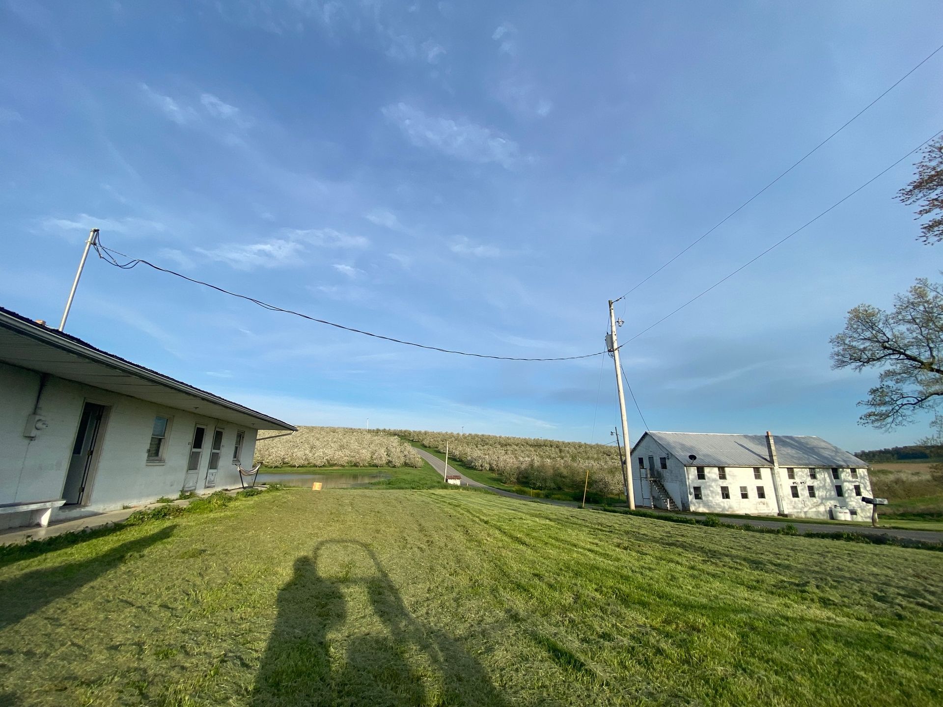 A shadow of a person is cast on the grass in front of a house.