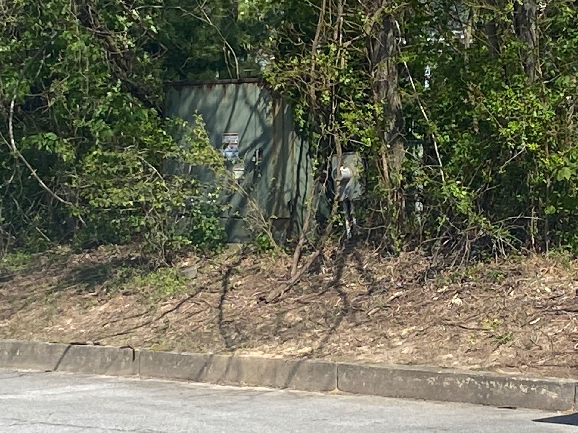 A fence is surrounded by trees on the side of a road.